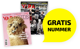 gratis-nummer-mob